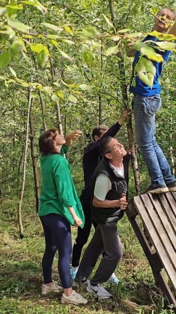 КАК В ЛЕСУ СОЗДАТЬ ПЛОЩАДКУ ДЛЯ КВЕСТА #event  #party