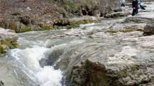 Кисловодск. Нижний парк. 31.03.26.