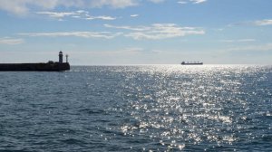 Сухогруз в Азовском море не будут поднимать со дна