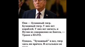 Они — бумажный тигр. Бумажный тигр.  Путин их совершенно не боится, — Трамп