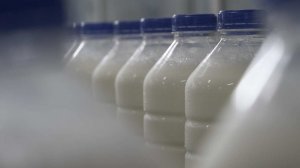 Фермеры попросили Минпромторг отменить маркировку их молочной продукции