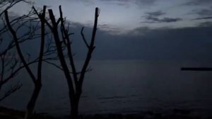 ОДЕССА 6 АПРЕЛЯ 2026. ПЕСКОВ КЛАССИКА И МОДА НА ГРУБОСТЬ. ТРАМП, КАК ПРИМЕР ПРОТИВОПОЛОЖНОГО!