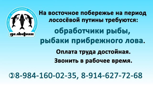 работа на Камчатке