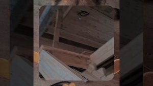 1000055175.mp4 (Собака наблюдает за устройством лестницы на 2-ой этаж в доме А-фрейм)