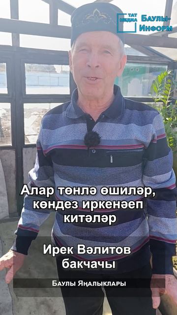 Күңелле мәшәкатьләр