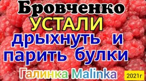 Семья Бровченко _Устали дрыхнуть до обеда и парить булки _Обзор Влогов _