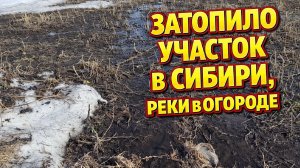 Участок затопило, текут реки и жижа в теплице, когда сажать теперь!