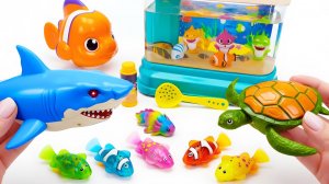 Мультики для детей. Набор - Рыбки и черепаха в аквариуме🐢🐟. Смотреть онлайн мультики для малышей