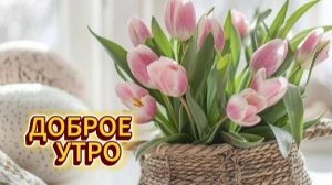 ДОБРОЕ УТРО! Пожеланиями с добрым утром! ✨☀️