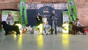 21.03.2026, СПб. Клуб "РУССКИЙ СТИЛЬ-2" (РКФ, РФСС). Выставка собак  "РУССКИЙ КИЧ" (CAC, ЧФ)