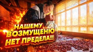 КУПИЛИ ДОМ В ДЕРЕВНЕ | КАПЕЕЕЦ ВОТ ЭТО ЛЮДИ | Дом в деревне | Деревенские будни