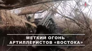 00:00 Огнем из САУ «Гиацинт-С» артиллеристы поразили замаскированные позиции ВСУ.