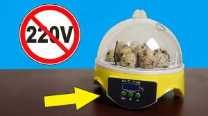 Отключили свет! Неужели Это конец? Инкубатор из Китая. Часть 3. alex boyko