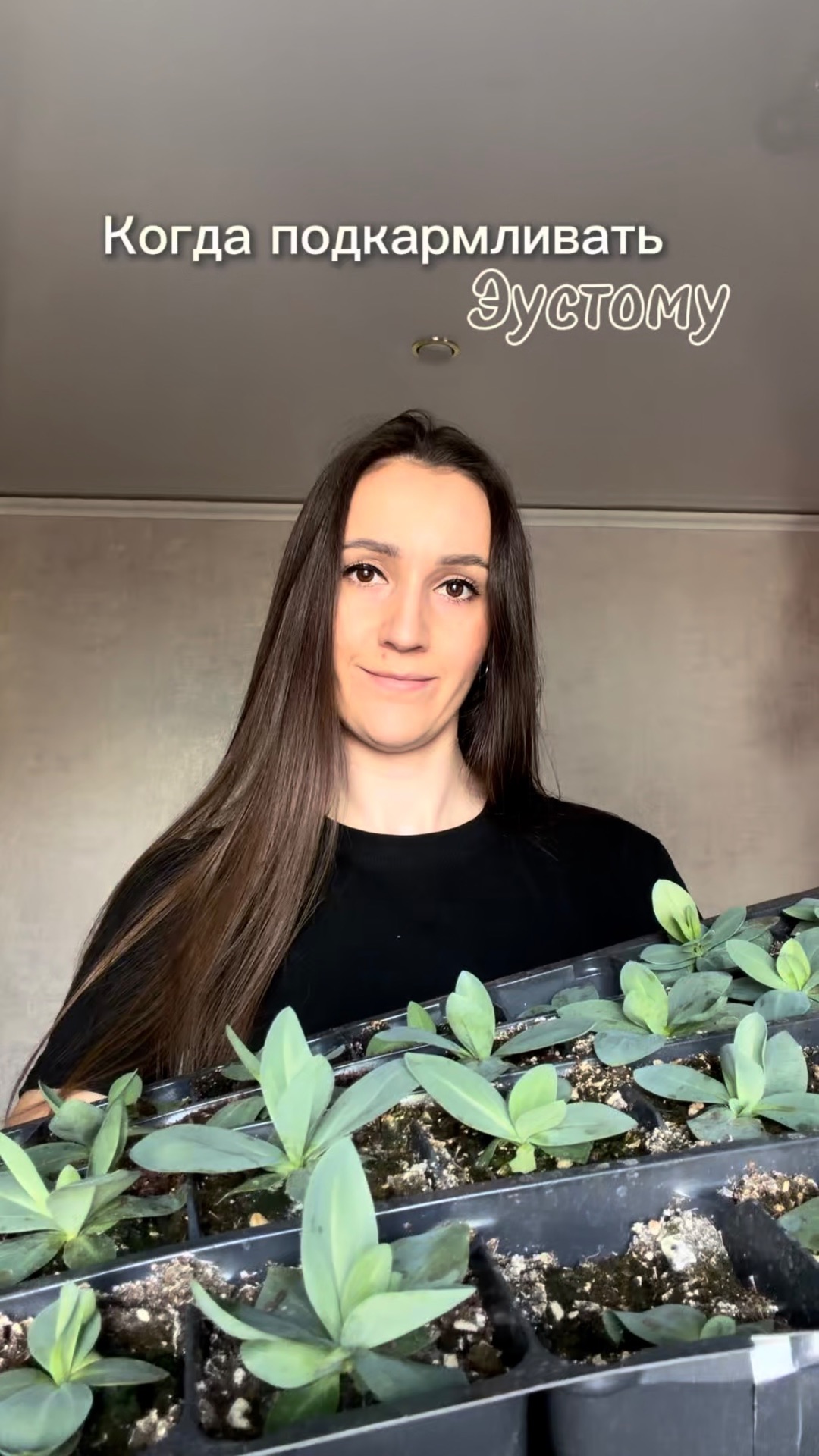 Когда подкармливать эустому