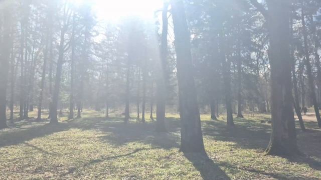 1000132012.mp4