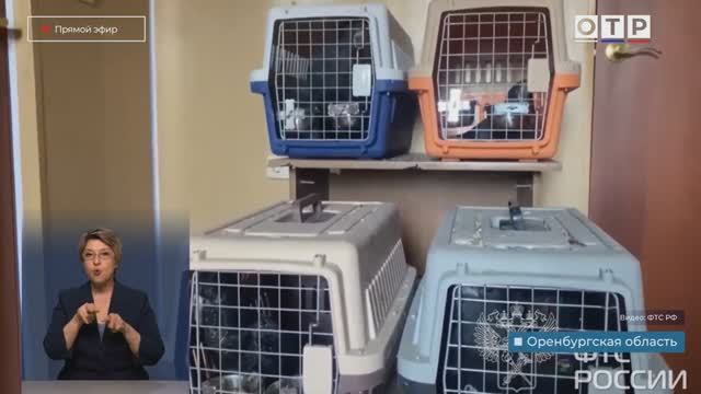 Телеканал «ОТР», программа «Новости», 03.04.2026