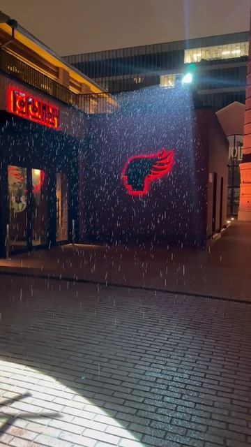 Красота в глазах смотрящего!  #красота #наблюдение #позитив #горыныч #дождь