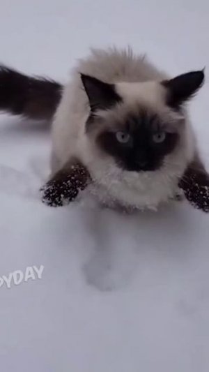 Встреча