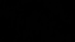 200fps Hg + Cd + Nb on C HV (2)