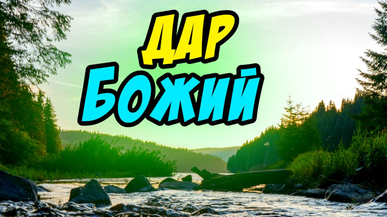 Дар Божий - Василий Савич. Христианские проповеди