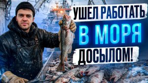 Работа в море досылом с зарплатой от 200 тысяч рублей.