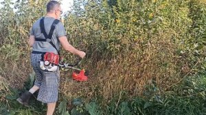 SG230 Стриж Lite + циркулярный диск косим высокую волокнистую траву