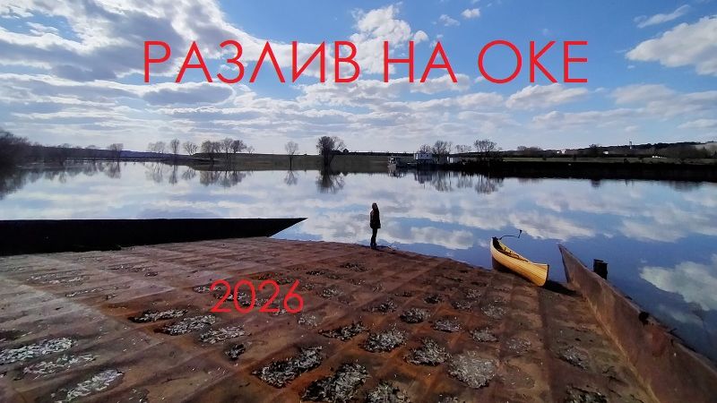 Разлив на Оке 2026