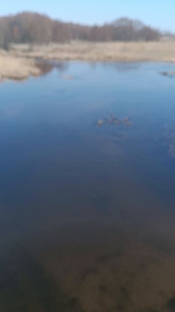 На берегу реки Псёл в Курской области. Павловка.