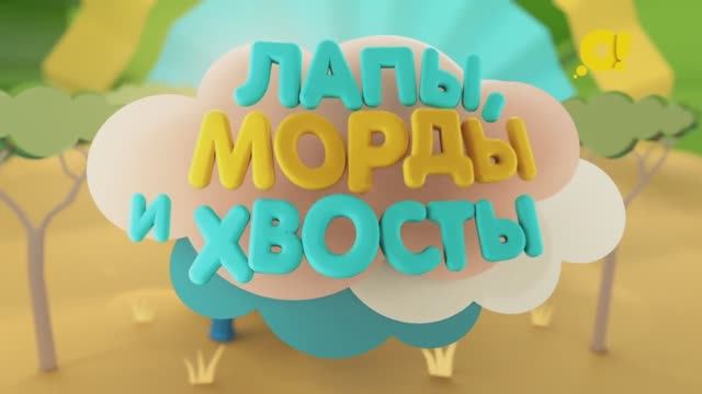 Факты о животных | Лапы, морды и хвосты| Козочка