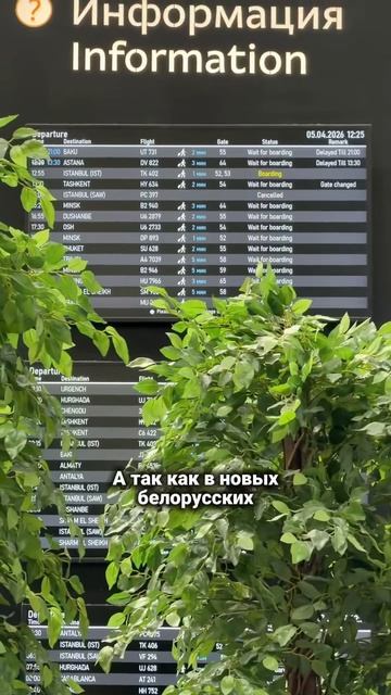 Допрос в аэропорту! Наконец я узнала почему.