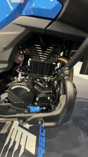 Чем отличается REGULMOTO GTO от REGULMOTO FTO ?