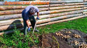 Копаем картошку. Расширяем огород. Деревенские дачники. Купили дом в деревне.