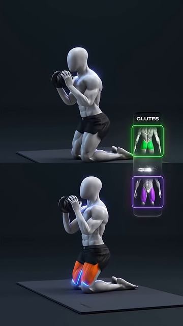 Ягодичные мышцы против квадрицепсов — одно движение, два результата