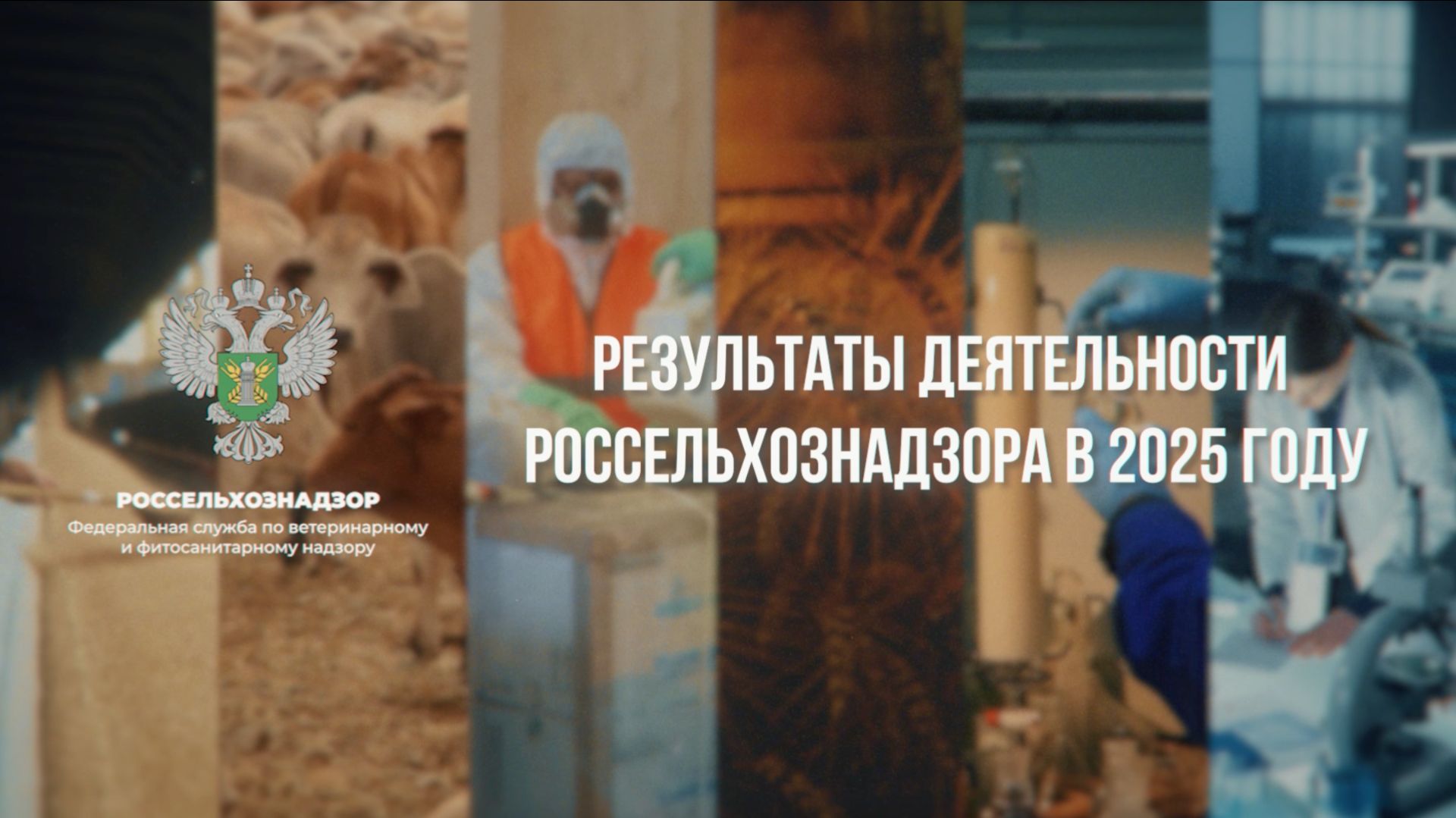 Результаты деятельности Россельхознадзора в 2025 году