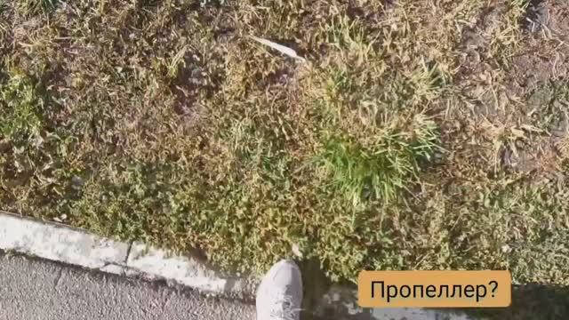 Опыт Пропеллер из пера...