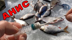 Манная болтушка с Анисом РАБОТАЕТ! Последний лёд!