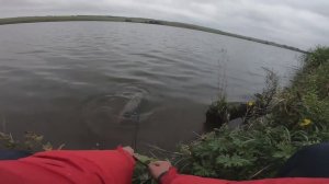 САЗАН ТРОФЕЙ 4,2КГ В КОРЯЖНИКЕ.ЛОВЛЯ КАРПА НА ДОНКИ С ГОРОХОМ В МЕСТЕ, ГДЕ МНОГО ЗАЦЕПОВ И ОБРЫВОВ.