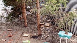 ещё один день с нами и белками