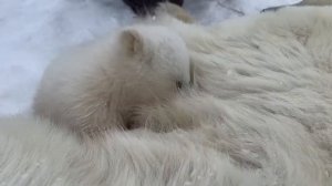 Уважаемые друзья! Пришла хорошая новость.