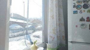 Жизнь в деревне.🏡 Огород ещё в снегу.❄️❄️❄️