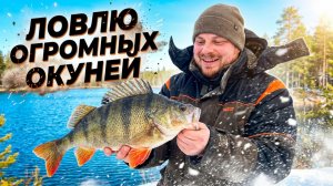 Рыбалка. Финская свеча. Огромный окунь