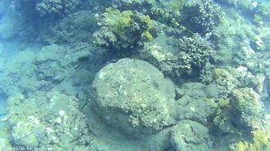 20260330094750_MOVI0019