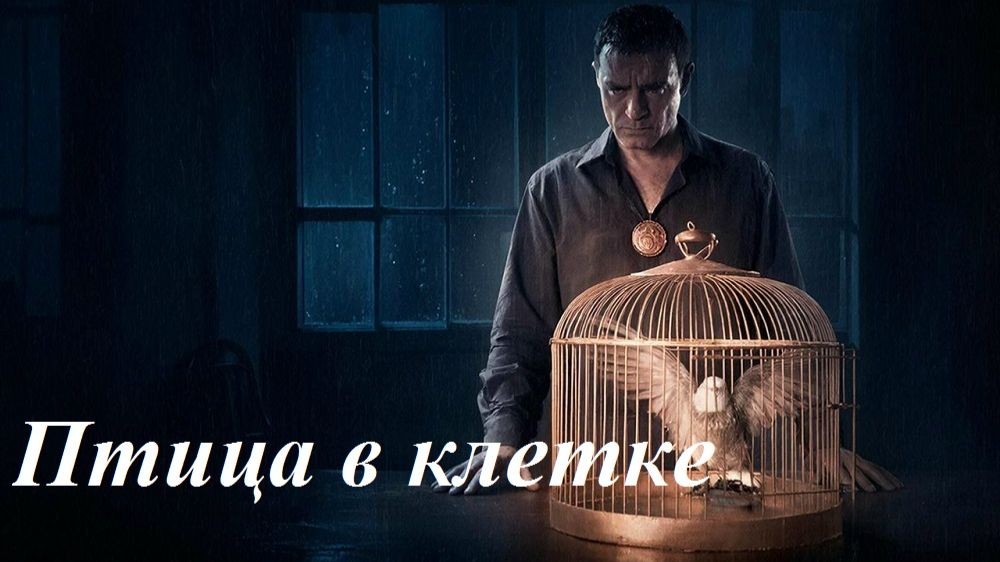 Птица в клетке, AI Suno