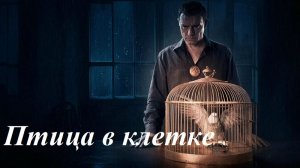 Птица в клетке, AI Suno