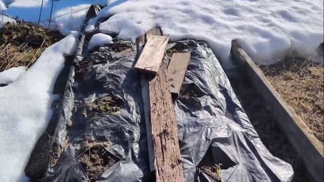 Обзор огорода 6 апреля