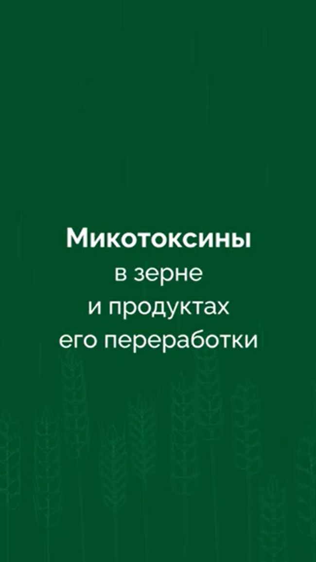 Как выявляют микотоксины в зерне