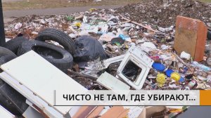 Контейнерная площадка, соседствующая с сомнительной птичьей столовой и собачьим туалетом