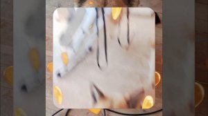 1000055177.mp4 (Собака наблюдает за устройством лестницы на 2-ой этаж в доме А-фрейм)