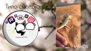 реакция на видос из тик тока