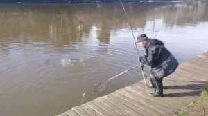 Утро.Основной водоём